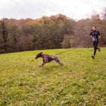 Canicross – trčanje sa psom canicross