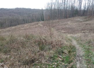 Crazy Hill Trail 2019.: Škola u prirodi u centru svijeta Crazy Hill Trail